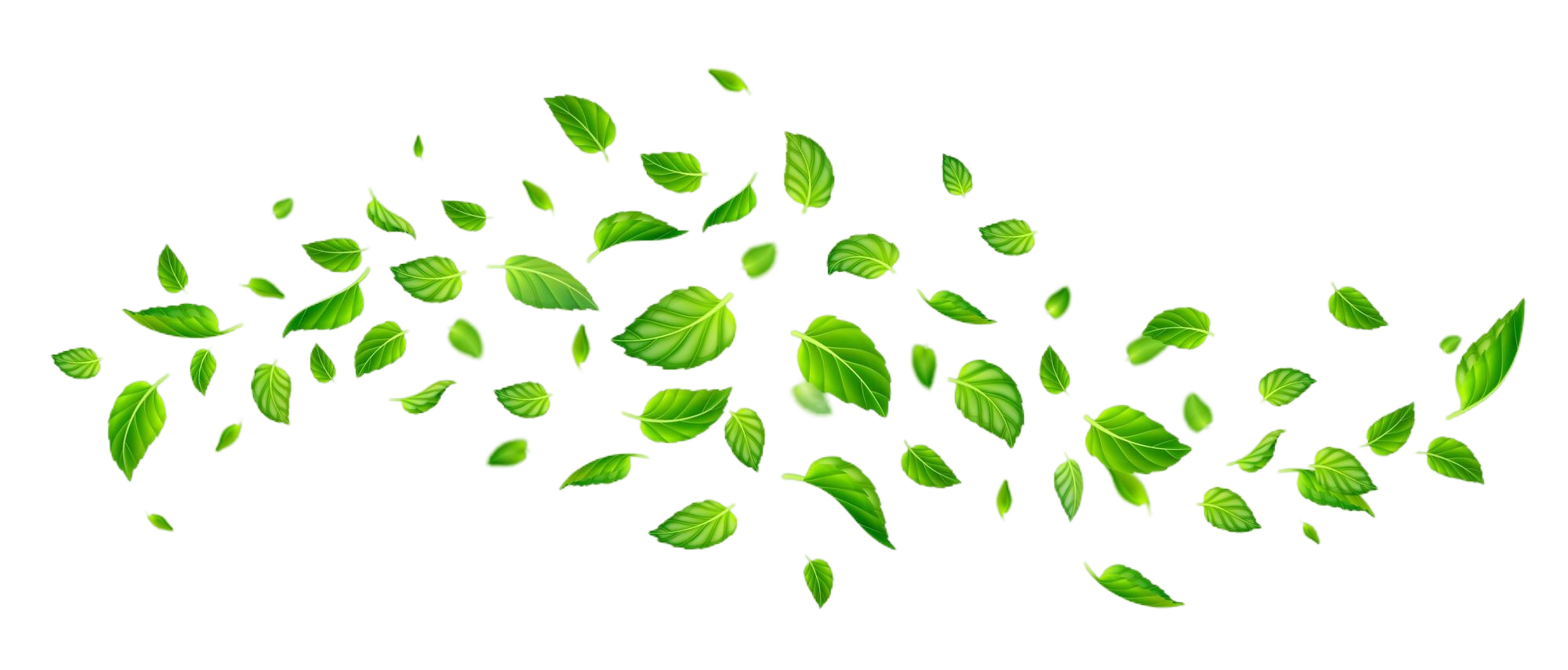 leaf-background-riverplate-nature